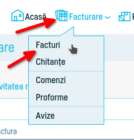 Cum verifici transmiterea la eFactura - pasul 1