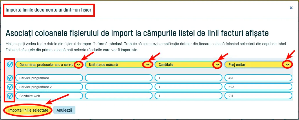 Import linii din documente în factura ta - pasul 4