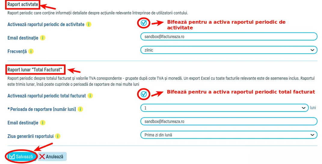 Rapoartele activitate cont şi raportul total facturat - pasul 3